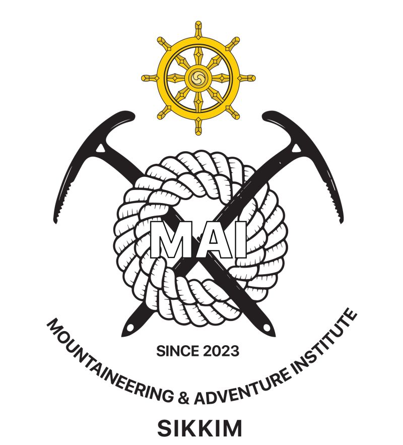 The Future Foundation School, Kolkata - Adventure Camp, Rock Climbing Activities